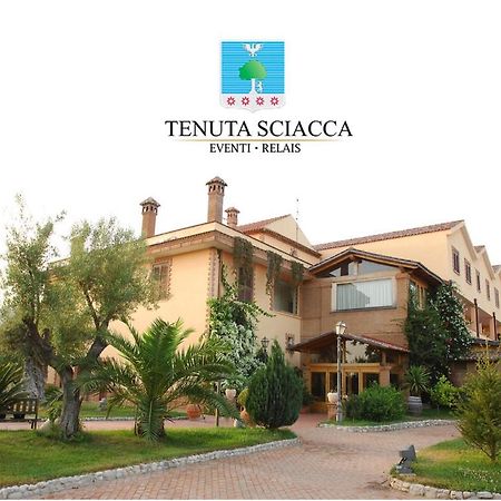 Tenuta Sciacca Villa Falciano del Massico Luaran gambar