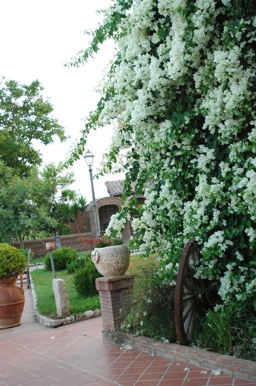 Tenuta Sciacca Villa Falciano del Massico Luaran gambar