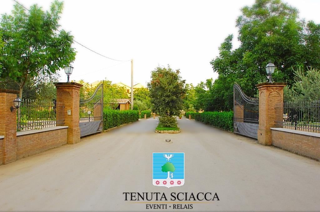 Tenuta Sciacca Villa Falciano del Massico Luaran gambar