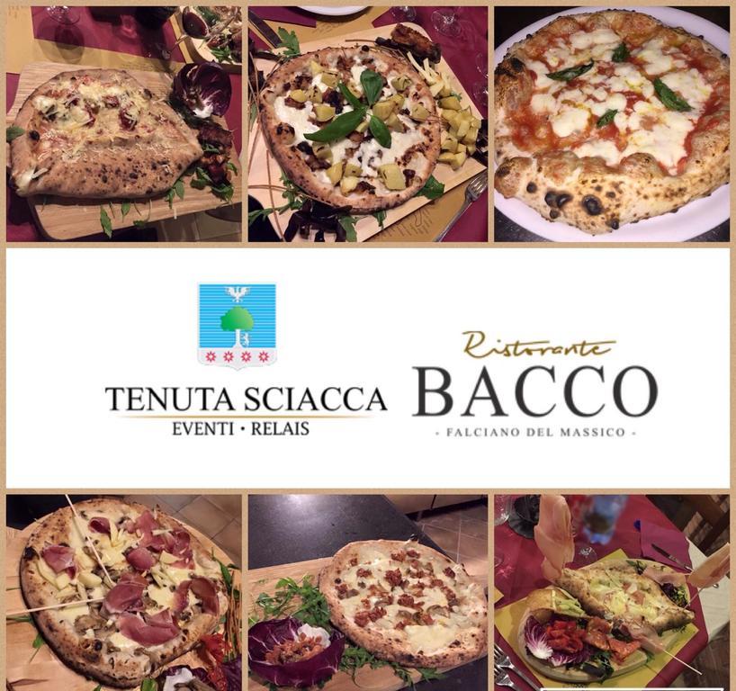 Tenuta Sciacca Villa Falciano del Massico Luaran gambar