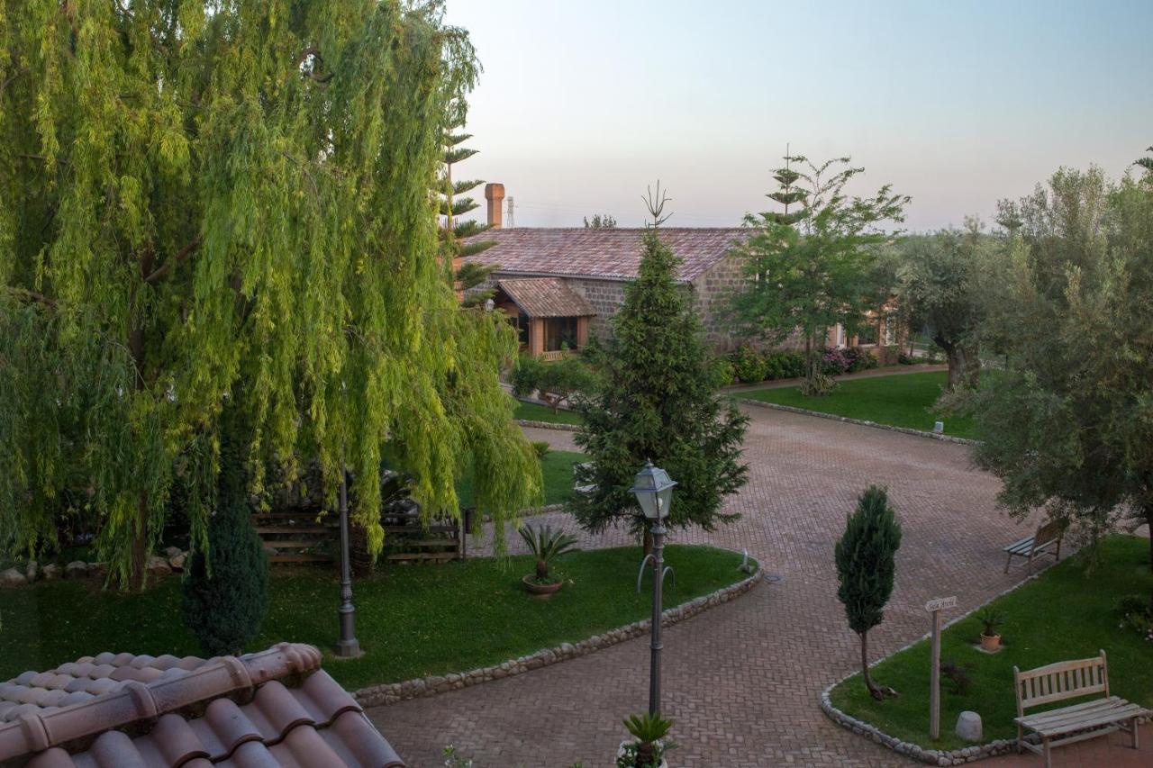 Tenuta Sciacca Villa Falciano del Massico Luaran gambar